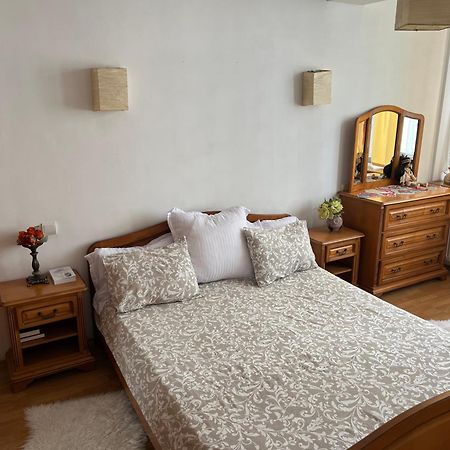 Apartament 1 Plus Rooms In Centrul Orasului - Unirii Fantanii 布加勒斯特 外观 照片